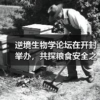 逆境生物学论坛在开封举办,共探粮食安全之路(图3) 逆境生物学论坛在开封举办,共探粮食安全之路(图3)