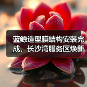 蓝鲸造型膜结构安装完成,长沙湾服务区焕新亮相(图1) 蓝鲸造型膜结构安装完成,长沙湾服务区焕新亮相(图1)