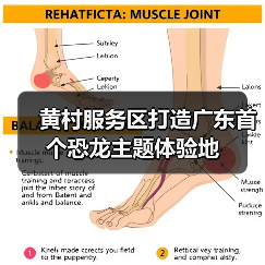黄村服务区打造广东首个恐龙主题体验地（图2）
