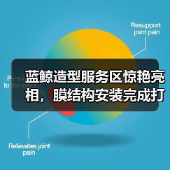 蓝鲸造型服务区惊艳亮相，膜结构安装完成打造新体验（图3）