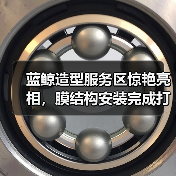 蓝鲸造型服务区惊艳亮相，膜结构安装完成打造新体验（图4）
