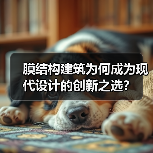 膜结构建筑为何成为现代设计的创新之选？（图2）