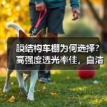 膜结构车棚为何选择？高强度透光率佳，自洁耐久寿命长（图4）