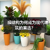 膜结构为何成为现代建筑的首选？（图3）