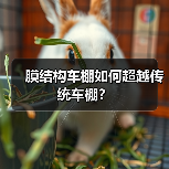 膜结构车棚如何超越传统车棚?(图3) 膜结构车棚如何超越传统车棚?(图3)