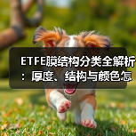 ETFE膜结构分类全解析:厚度、结构与颜色怎么选?(图4) ETFE膜结构分类全解析:厚度、结构与颜色怎么选?(图4)