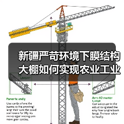 新疆严苛环境下膜结构大棚如何实现农业工业双突破（图2）