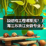 膜结构工程哪里找？上海江苏浙江安徽专业上门服务（图3）