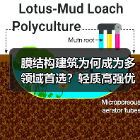 膜结构建筑为何成为多领域首选？轻质高强优势解析（图1）