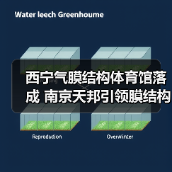 西宁气膜结构体育馆落成 南京天邦引领膜结构工程新典范（图2）