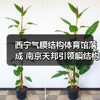 西宁气膜结构体育馆落成 南京天邦引领膜结构工程新典范（图1）