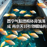 西宁气膜结构体育馆落成 南京天邦引领膜结构工程新典范（图3）