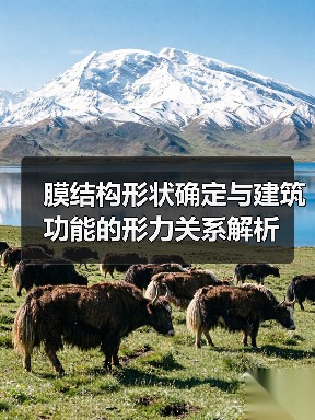 膜结构形状确定与建筑功能的形力关系解析(图3) 膜结构形状确定与建筑功能的形力关系解析(图3)
