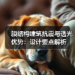 膜结构建筑抗震与透光优势：设计要点解析