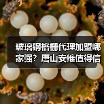 玻璃钢格栅代理加盟哪家强？唐山安维值得信赖（图4）
