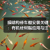 膜结构停车棚安装关键：有机硅树脂应用与注意事项解析（图2）