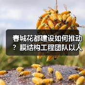 春城花都建设如何推动?膜结构工程团队以人为本服务客户(图3) 春城花都建设如何推动?膜结构工程团队以人为本服务客户(图3)