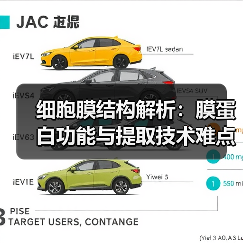 细胞膜结构解析:膜蛋白功能与提取技术难点全解析(图1) 细胞膜结构解析:膜蛋白功能与提取技术难点全解析(图1)