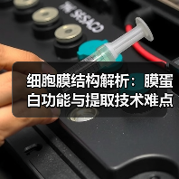 细胞膜结构解析:膜蛋白功能与提取技术难点全解析(图3) 细胞膜结构解析:膜蛋白功能与提取技术难点全解析(图3)