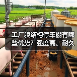 工厂膜结构停车棚有哪些优势?强度高、耐久性强、经济实用更省心 工厂膜结构停车棚有哪些优势?强度高、耐久性强、经济实用更省心