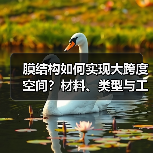膜结构如何实现大跨度空间?材料、类型与工程实例全解析(图2) 膜结构如何实现大跨度空间?材料、类型与工程实例全解析(图2)