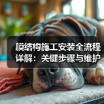 膜结构施工安装全流程详解:关键步骤与维护要点(图1) 膜结构施工安装全流程详解:关键步骤与维护要点(图1)