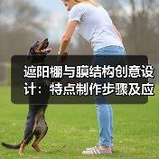 遮阳棚与膜结构创意设计:特点制作步骤及应用解析(图4) 遮阳棚与膜结构创意设计:特点制作步骤及应用解析(图4)
