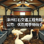 漳州红石交通工程有限公司:优质岗亭畅销全国,环保活动板房引领行业(图3) 漳州红石交通工程有限公司:优质岗亭畅销全国,环保活动板房引领行业(图3)