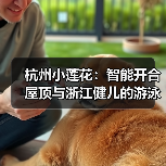 杭州小莲花:智能开合屋顶与浙江健儿的游泳盛宴(图1) 杭州小莲花:智能开合屋顶与浙江健儿的游泳盛宴(图1)