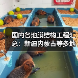 国内各地膜结构工程汇总:新疆内蒙古等多地项目全览(图3) 国内各地膜结构工程汇总:新疆内蒙古等多地项目全览(图3)