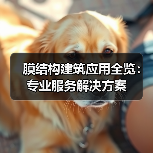 膜结构建筑应用全览:专业服务解决方案(图4) 膜结构建筑应用全览:专业服务解决方案(图4)