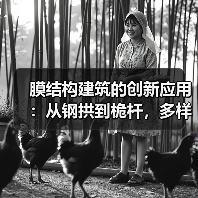 膜结构建筑的创新应用:从钢拱到桅杆,多样化设计如何改变建筑形态?(图2) 膜结构建筑的创新应用:从钢拱到桅杆,多样化设计如何改变建筑形态?(图2)