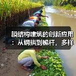 膜结构建筑的创新应用:从钢拱到桅杆,多样化设计如何改变建筑形态?(图4) 膜结构建筑的创新应用:从钢拱到桅杆,多样化设计如何改变建筑形态?(图4)