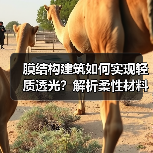 膜结构建筑如何实现轻质透光?解析柔性材料与钢铝构件的协同(图3) 膜结构建筑如何实现轻质透光?解析柔性材料与钢铝构件的协同(图3)