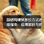 膜结构建筑张拉方式选择指南:应用解析与视觉效果对比(图3) 膜结构建筑张拉方式选择指南:应用解析与视觉效果对比(图3)
