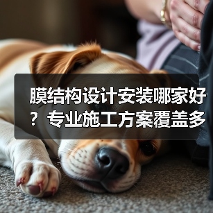 膜结构设计安装哪家好?专业施工方案覆盖多场景(图2) 膜结构设计安装哪家好?专业施工方案覆盖多场景(图2)