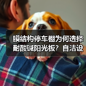 膜结构停车棚为何选择耐酸碱阳光板?自洁设计更持久(图4) 膜结构停车棚为何选择耐酸碱阳光板?自洁设计更持久(图4)