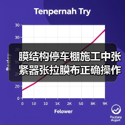 膜结构停车棚施工中张紧器张拉膜布正确操作及注意事项(图4) 膜结构停车棚施工中张紧器张拉膜布正确操作及注意事项(图4)