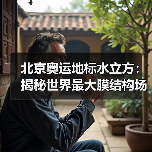 北京奥运地标水立方:揭秘世界最大膜结构场馆设计奇迹(图4) 北京奥运地标水立方:揭秘世界最大膜结构场馆设计奇迹(图4)