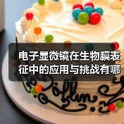 电子显微镜在生物膜表征中的应用与挑战有哪些？（图2）