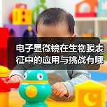 电子显微镜在生物膜表征中的应用与挑战有哪些？（图4）