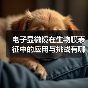 电子显微镜在生物膜表征中的应用与挑战有哪些？（图3）
