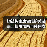 膜结构主席台维护关键点：故障预防与使用寿命延长指南（图2）