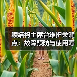 膜结构主席台维护关键点：故障预防与使用寿命延长指南（图4）