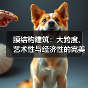 膜结构建筑:大跨度、艺术性与经济性的完美结合,却面临哪些挑战?(图3) 膜结构建筑:大跨度、艺术性与经济性的完美结合,却面临哪些挑战?(图3)