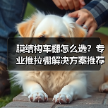 膜结构车棚怎么选?专业推拉棚解决方案推荐(图2) 膜结构车棚怎么选?专业推拉棚解决方案推荐(图2)