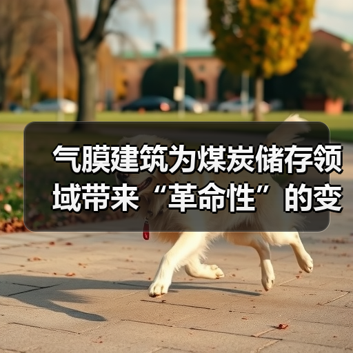 气膜建筑为煤炭储存领域带来“革命性”的变革(图2) 气膜建筑为煤炭储存领域带来“革命性”的变革(图2)