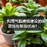 利用气膜建筑建设的体育馆有哪些优点?(图3) 利用气膜建筑建设的体育馆有哪些优点?(图3)