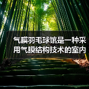 气膜羽毛球馆是一种采用气膜结构技术的室内运动场馆(图4) 气膜羽毛球馆是一种采用气膜结构技术的室内运动场馆(图4)